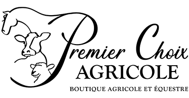 footer-logo